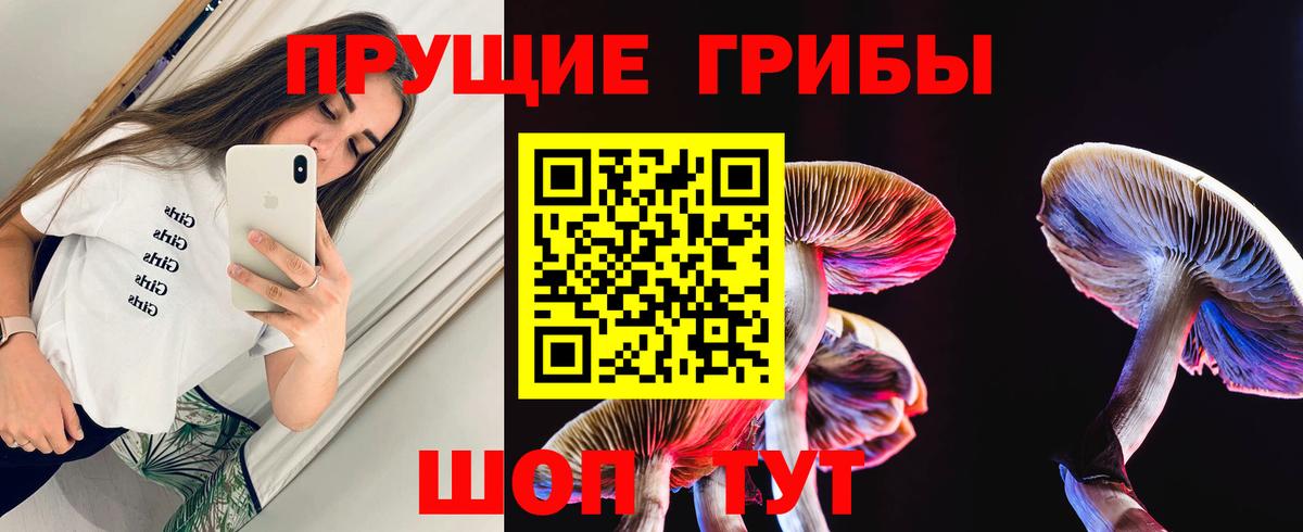 цены наркотик  Вход с VPN  Чернушка  Псилоцибиновые грибы GOLDEN TEACHER 