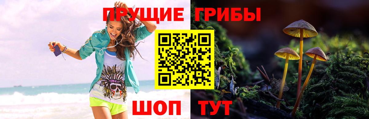 Галлюциногенные грибы прущие грибы Чернушка