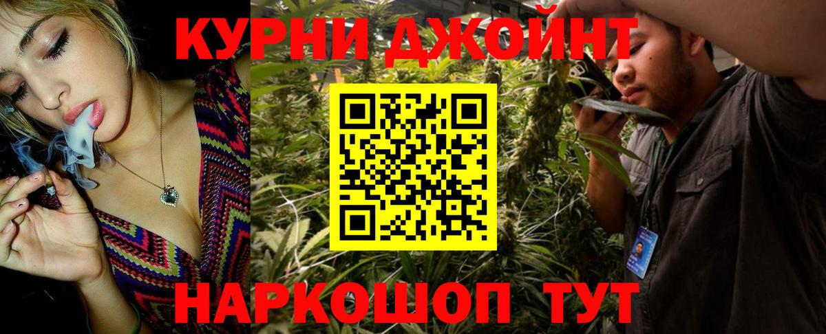 Каннабис планчик Чернушка